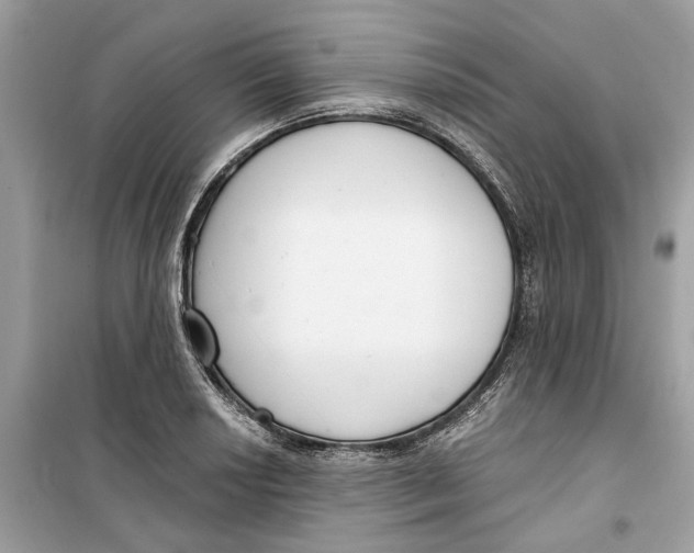 X0000099301034200805231337