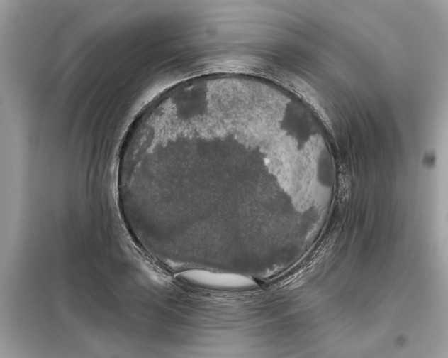 X0000099301035200805231337