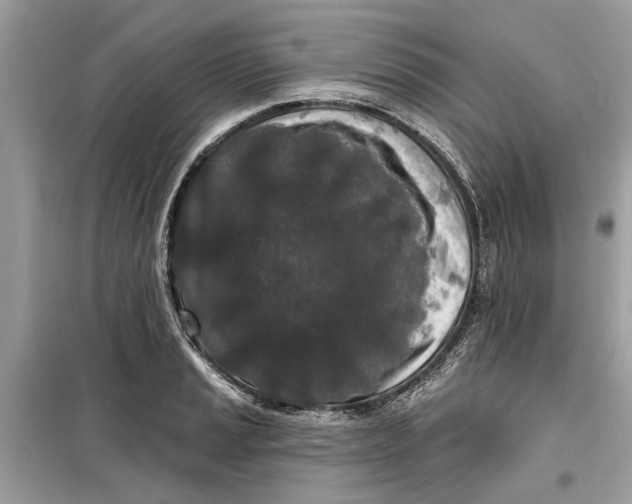 X0000099301037200805231337