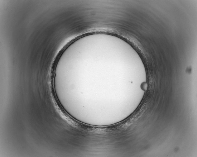 X0000099301038200805231337