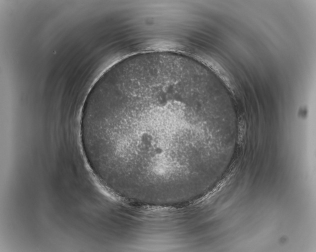 X0000099301039200805231337