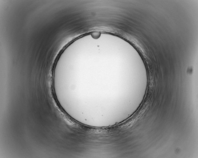 X0000099301040200805231337