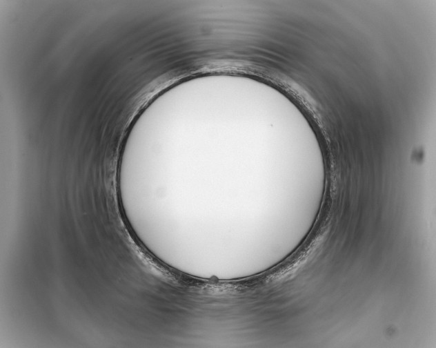 X0000099301041200805231337