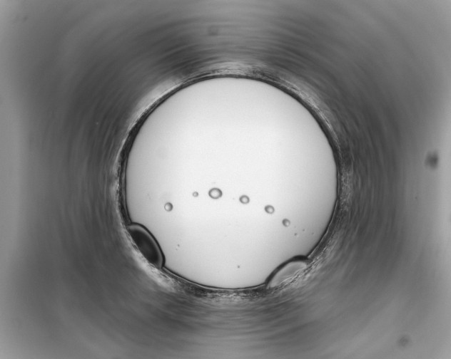 X0000099301042200805231337