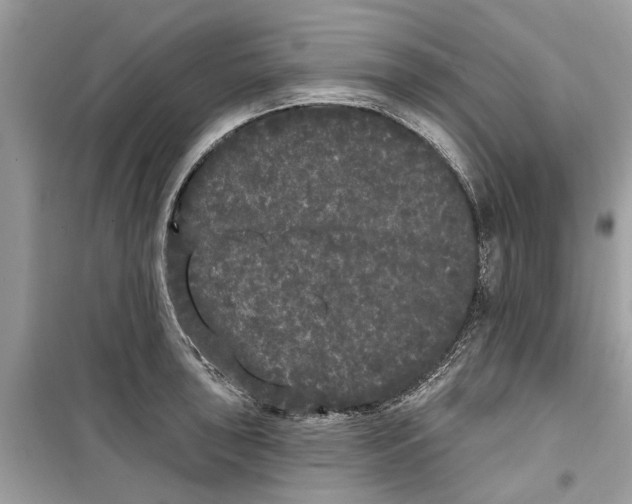 X0000099301043200805231337