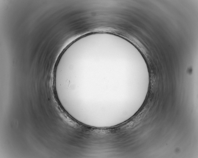 X0000099301044200805231337