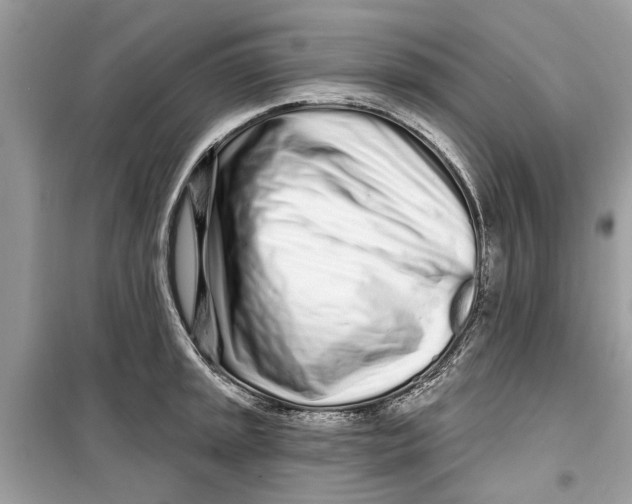 X0000099301045200805231337