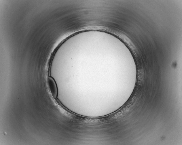 X0000099301046200805231338