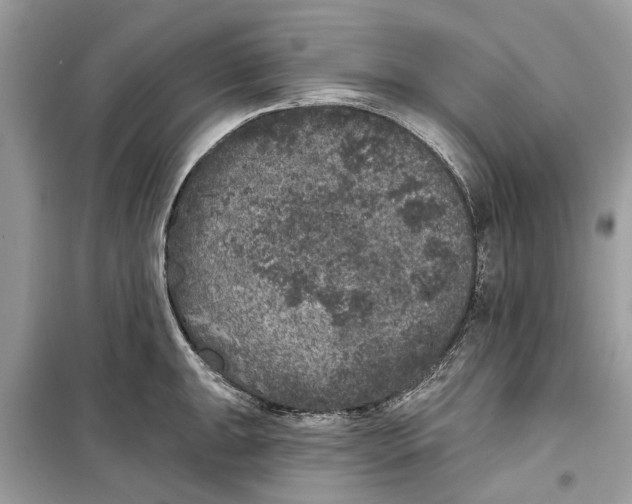 X0000099301047200805231338