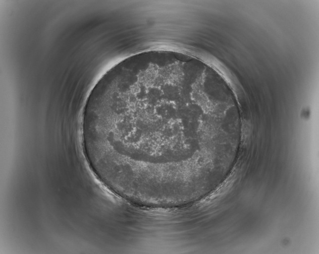 X0000099301048200805231338