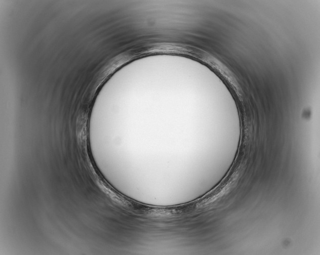 X0000099301049200805231338