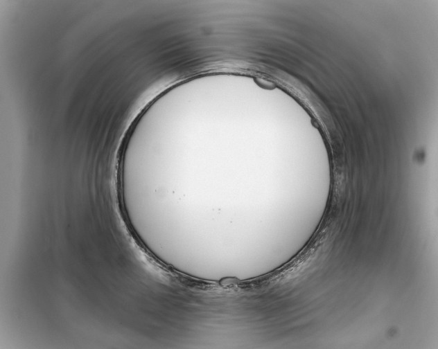 X0000099301050200805231338