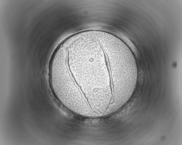 X0000099301051200805231338