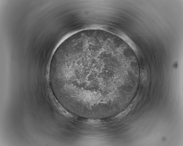 X0000099301052200805231338