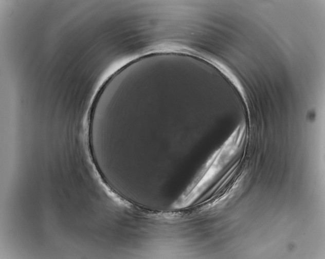 X0000099301053200805231338