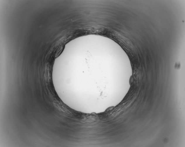 X0000099301058200805231337