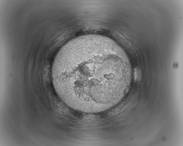 X0000099301059200805231337