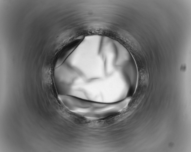 X0000099301060200805231337