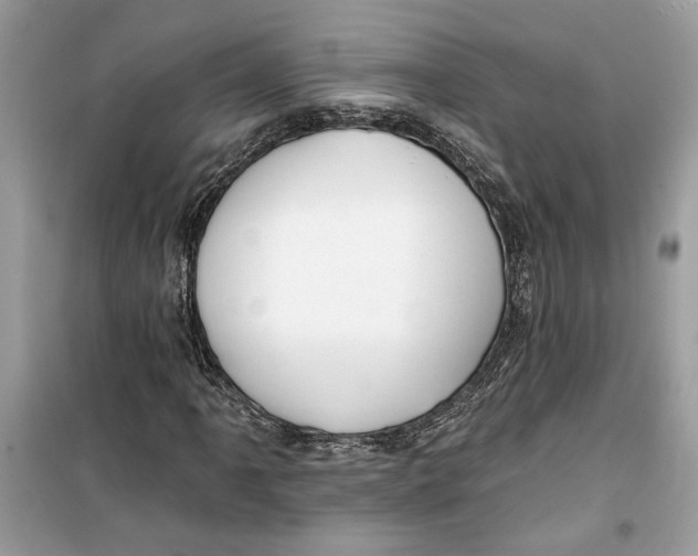 X0000099301061200805231337