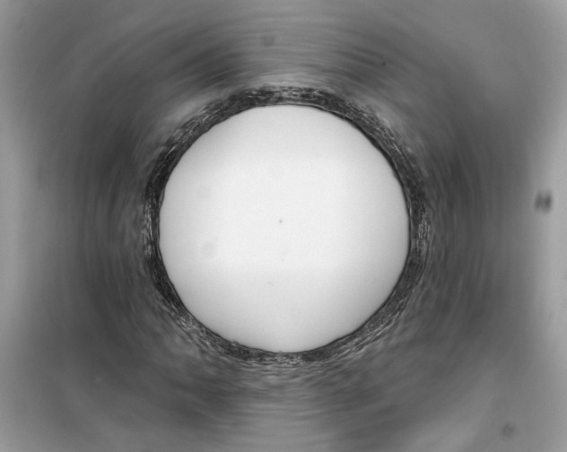 X0000099301062200805231337