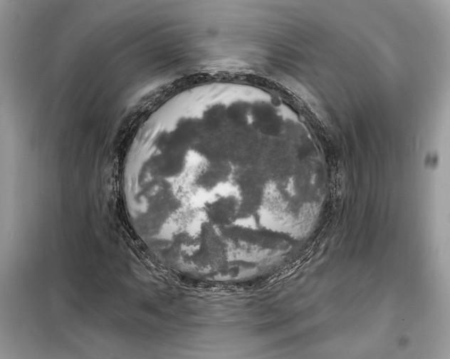 X0000099301063200805231337