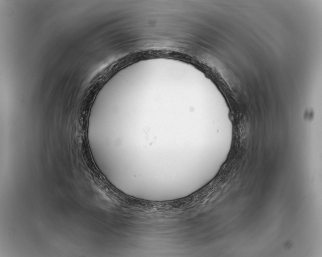 X0000099301064200805231337