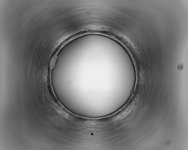 X0000099301065200805231337