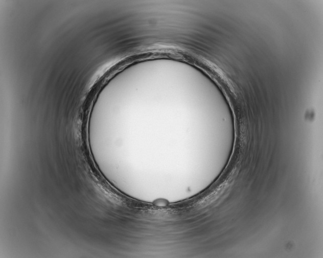 X0000099301066200805231337