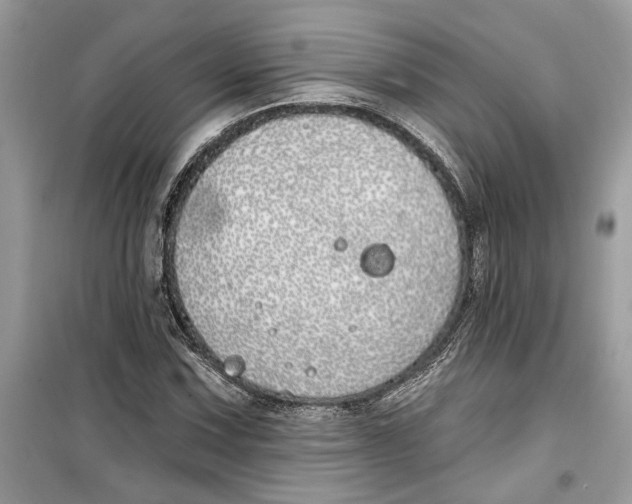 X0000099301067200805231337