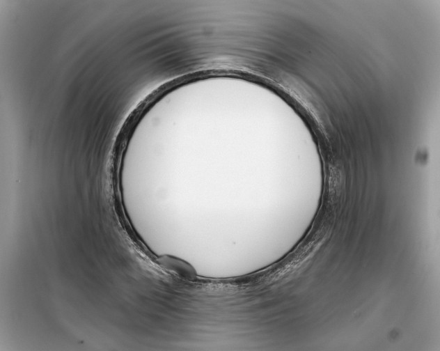 X0000099301068200805231337