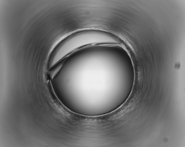 X0000099301069200805231337