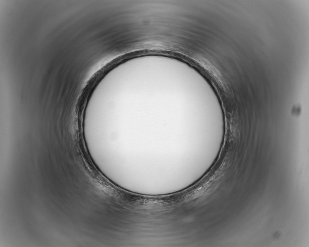 X0000099301070200805231337