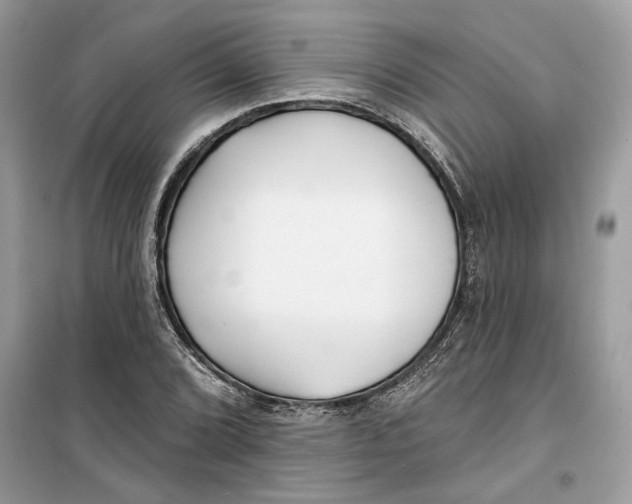 X0000099301072200805231337