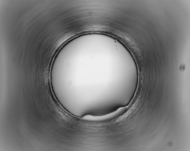 X0000099301073200805231337