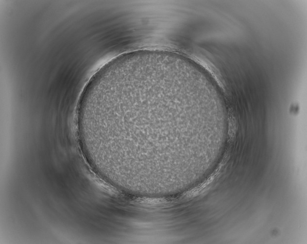 X0000099301074200805231337