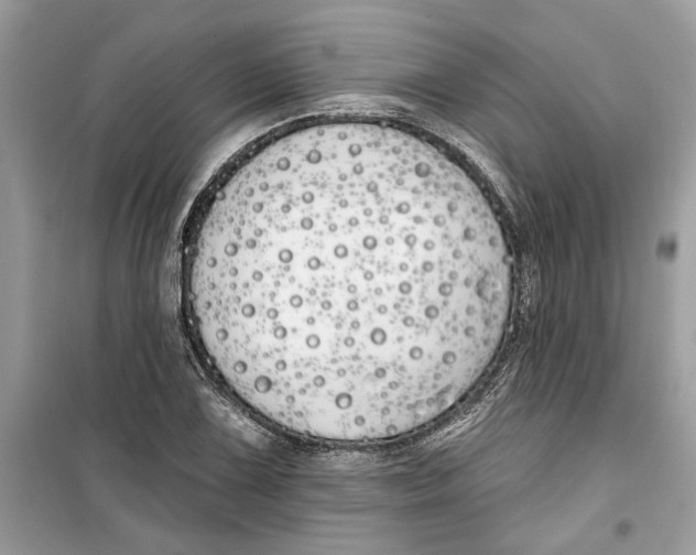 X0000099301075200805231337