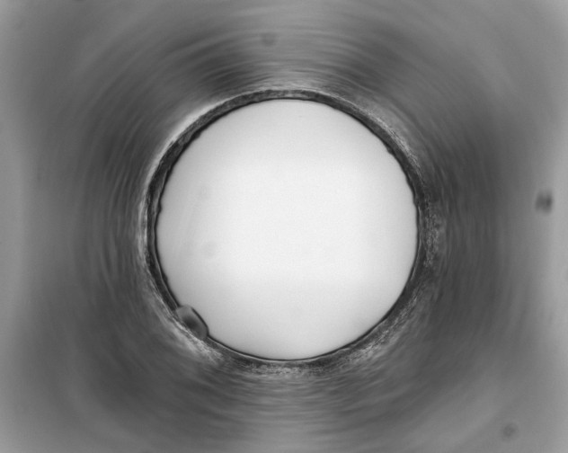 X0000099301076200805231337