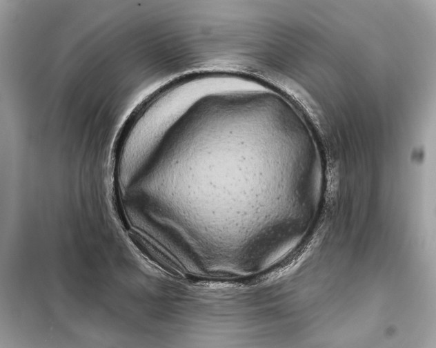 X0000099301077200805231337