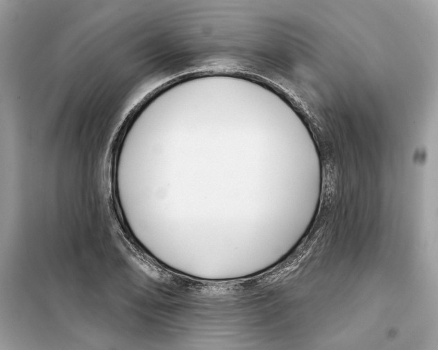 X0000099301078200805231337