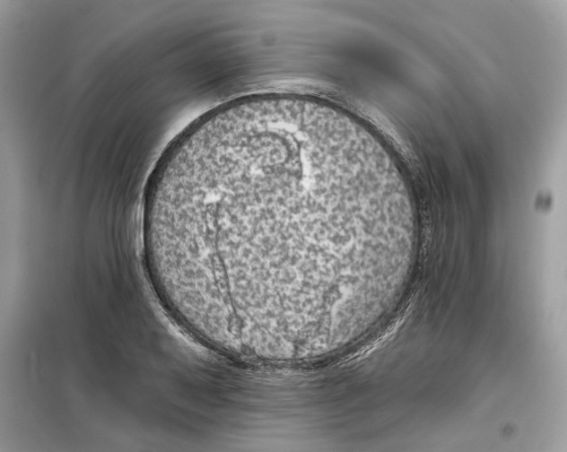 X0000099301079200805231337