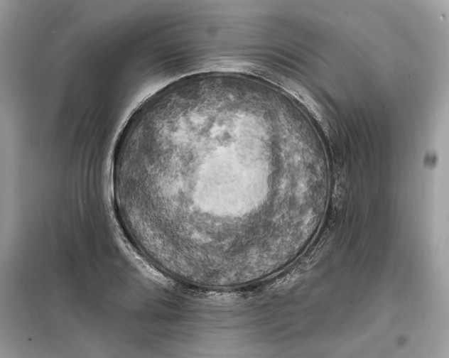 X0000099301080200805231337