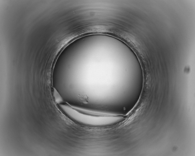 X0000099301081200805231337