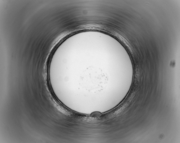 X0000099301082200805231337