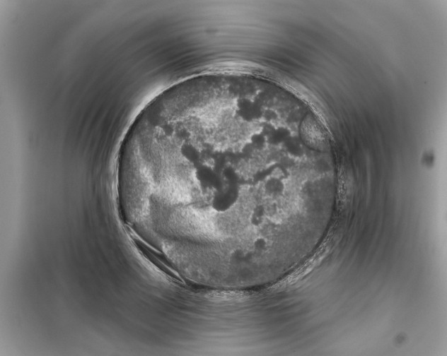 X0000099301083200805231337