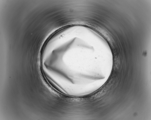 X0000099301084200805231337