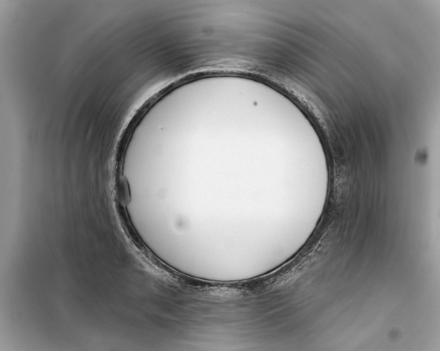 X0000099301085200805231337