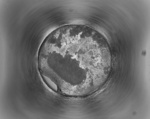 X0000099301087200805231337