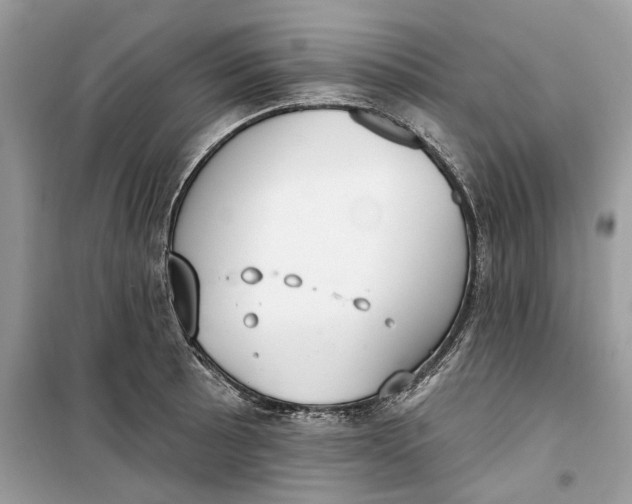 X0000099301089200805231337