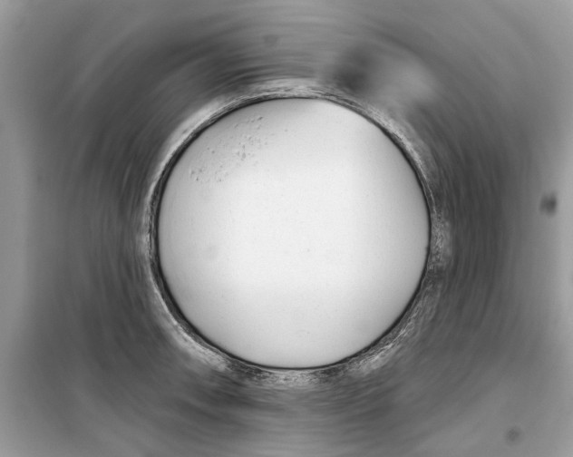 X0000099301090200805231337