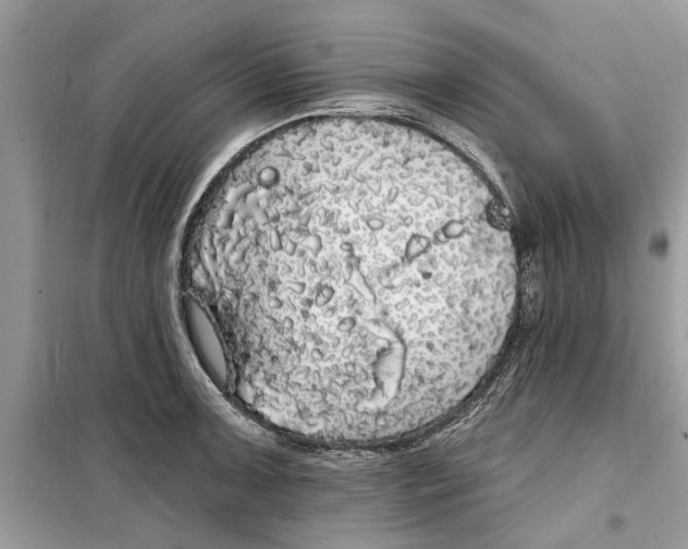 X0000099301091200805231337